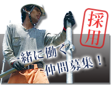 採用募集