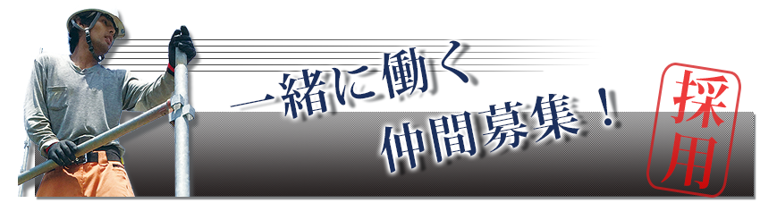 採用情報